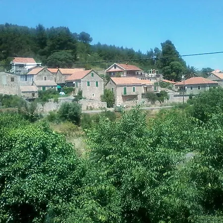 Fara